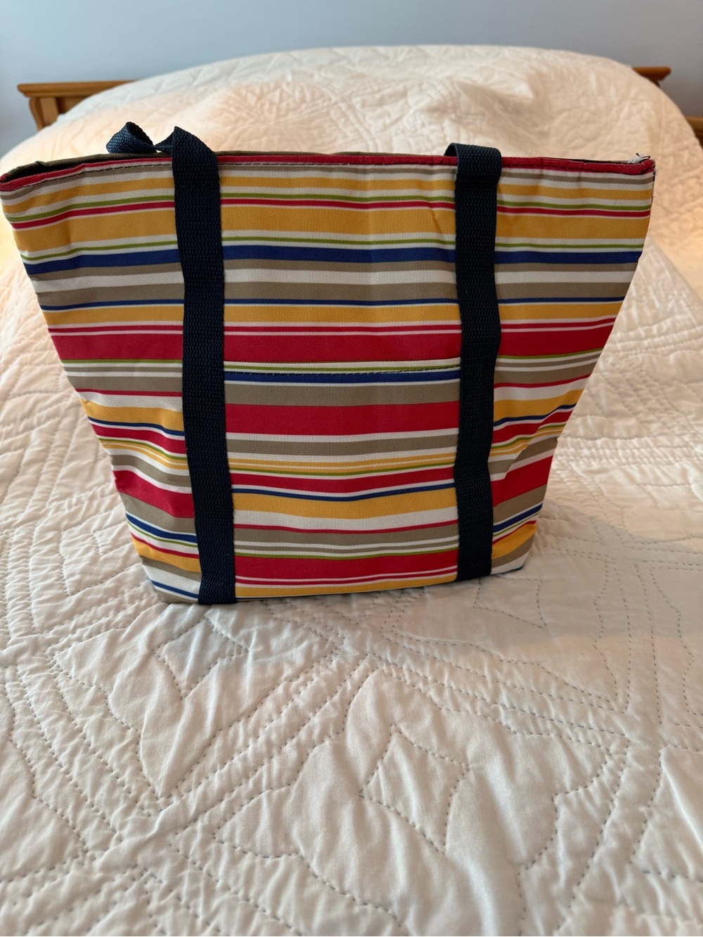 Striped Multi-Color insulated Tote Bag with Navy Handles